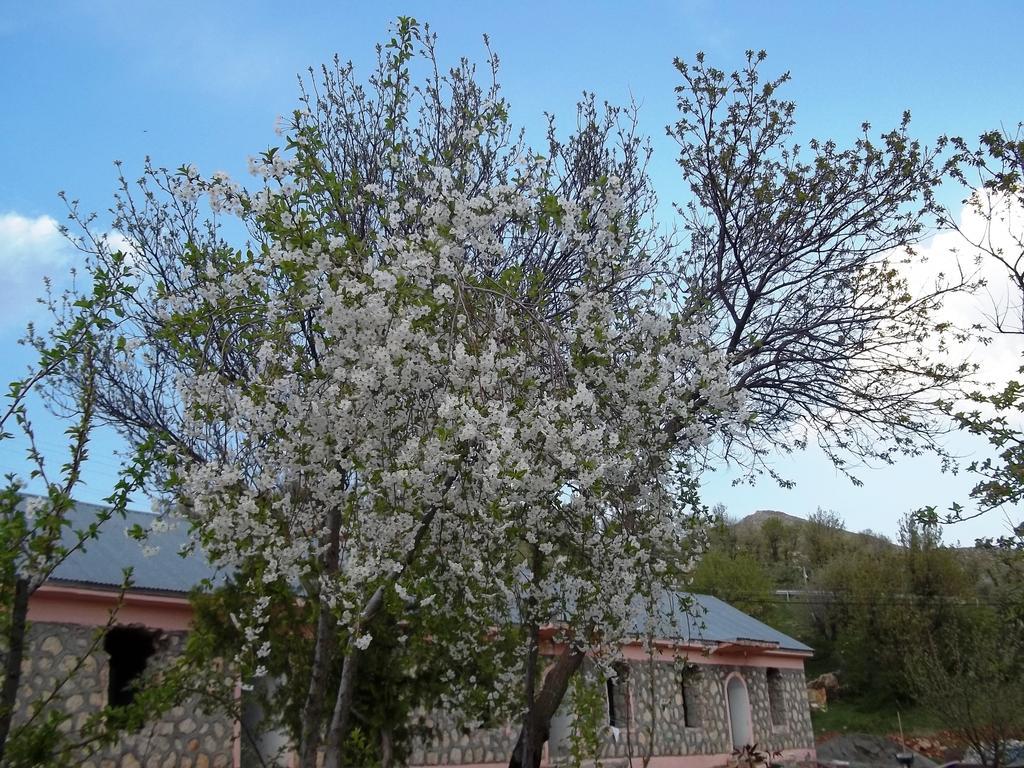Nemrut Kervansaray Hotel Karadut  Exteriér fotografie